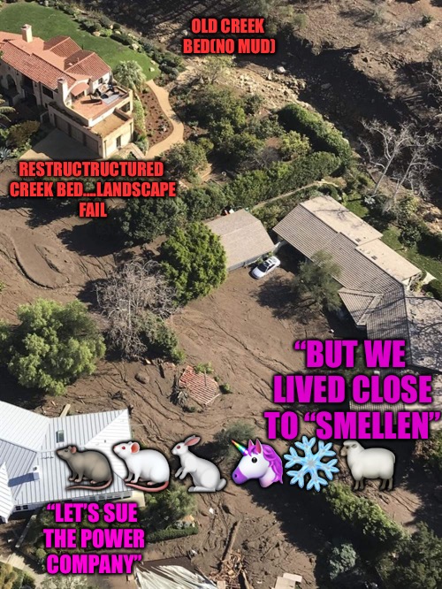 The Old Creek And The New  | OLD CREEK BED(NO MUD); RESTRUCTRUCTURED CREEK BED....LANDSCAPE FAIL; “BUT WE LIVED CLOSE TO “SMELLEN”; 🐀🐁🐇🦄❄️🐑; “LET’S SUE THE POWER COMPANY” | image tagged in california,mud,death,greed,ellen degeneres,oprah | made w/ Imgflip meme maker