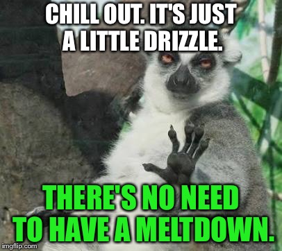 It is not raining that hard | CHILL OUT. IT'S JUST A LITTLE DRIZZLE. THERE'S NO NEED TO HAVE A MELTDOWN. | image tagged in memes,chill out lemur,weather,rain,wizard of oz,fake news | made w/ Imgflip meme maker