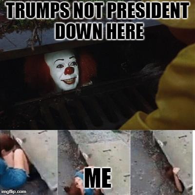 pennywise in sewer | TRUMPS NOT PRESIDENT DOWN HERE; ME | image tagged in pennywise in sewer | made w/ Imgflip meme maker