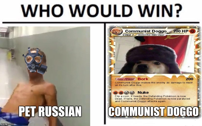 who wold winn | PET RUSSIAN; COMMUNIST DOGGO | image tagged in pet russin | made w/ Imgflip meme maker