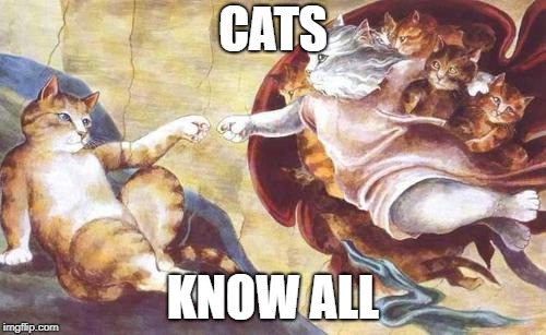 cat god | CATS; KNOW ALL | image tagged in cats,cat,god,cat god | made w/ Imgflip meme maker