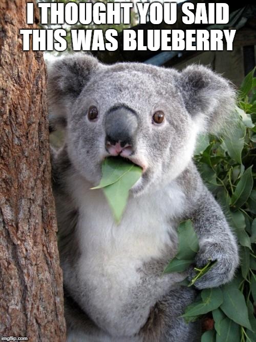 Surprised Koala Meme | I THOUGHT YOU SAID THIS WAS BLUEBERRY | image tagged in memes,surprised koala | made w/ Imgflip meme maker