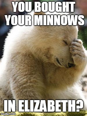 Facepalm Bear Meme Imgflip