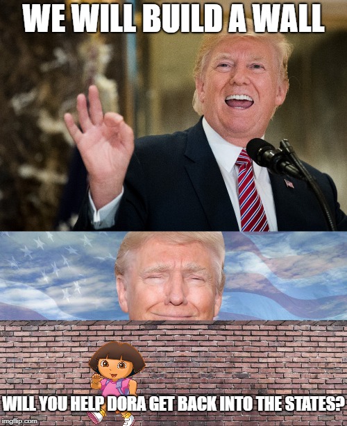 Help Dora!!! | WE WILL BUILD A WALL; WILL YOU HELP DORA GET BACK INTO THE STATES? | image tagged in donald trump,trump wall,dora the explorer | made w/ Imgflip meme maker