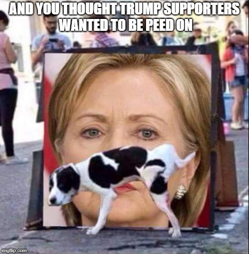 Dog Peeing On HIllary Clinton | AND YOU THOUGHT TRUMP SUPPORTERS WANTED TO BE PEED ON | image tagged in dog peeing on hillary clinton | made w/ Imgflip meme maker