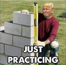 do you want to build a wall | image tagged in trump | made w/ Imgflip meme maker