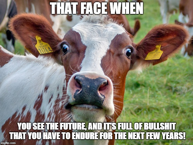 Surprised cow | THAT FACE WHEN; YOU SEE THE FUTURE, AND IT'S FULL OF BULLSHIT THAT YOU HAVE TO ENDURE FOR THE NEXT FEW YEARS! | image tagged in surprised cow | made w/ Imgflip meme maker