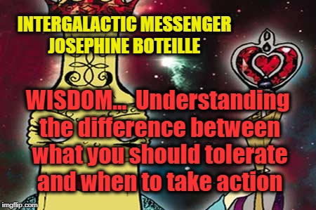 INTERGALACTIC MESSENGER JOSEPHINE BOTEILLE | INTERGALACTIC MESSENGER JOSEPHINE BOTEILLE; WISDOM…  Understanding the difference between what you should tolerate and when to take action | image tagged in inspirational quote,wisdom,life,goals,communication | made w/ Imgflip meme maker
