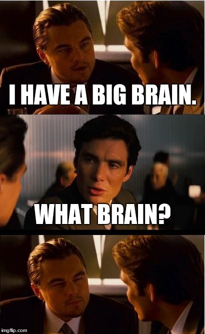 Romeo is insulted | I HAVE A BIG BRAIN. WHAT BRAIN? | image tagged in memes,inception | made w/ Imgflip meme maker