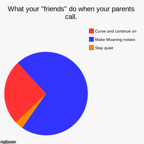 What your "friends" do when your parents call. | Stay quiet, Make Moaning noises, Curse and continue on | image tagged in funny,pie charts | made w/ Imgflip chart maker