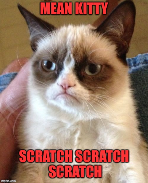Grumpy Cat Meme | MEAN KITTY SCRATCH SCRATCH SCRATCH | image tagged in memes,grumpy cat | made w/ Imgflip meme maker