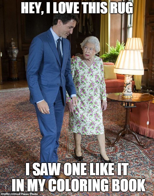 HEY, I LOVE THIS RUG; I SAW ONE LIKE IT IN MY COLORING BOOK | image tagged in justin trudeau | made w/ Imgflip meme maker