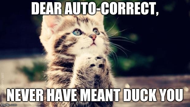 Why auto-correct | DEAR AUTO-CORRECT, NEVER HAVE MEANT DUCK YOU | image tagged in praying cat | made w/ Imgflip meme maker