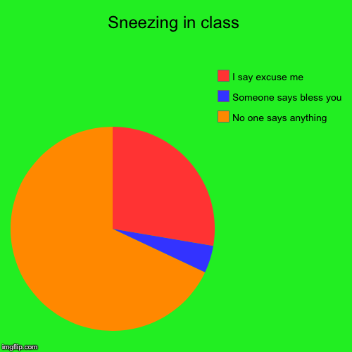 Sneezing in class | No one says anything, Someone says bless you, I say excuse me | image tagged in funny,pie charts | made w/ Imgflip chart maker