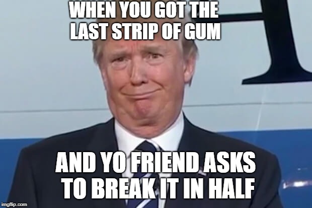 donald trump |  WHEN YOU GOT THE LAST STRIP OF GUM; AND YO FRIEND ASKS TO BREAK IT IN HALF | image tagged in donald trump | made w/ Imgflip meme maker