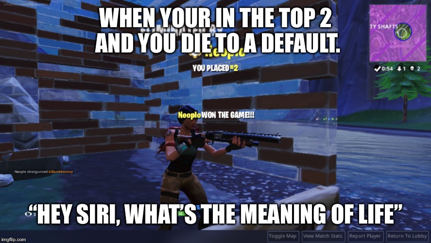 Best fortnite memes | WHEN YOUR IN THE TOP 2 AND YOU DIE TO A DEFAULT. “HEY SIRI, WHAT’S THE MEANING OF LIFE” | image tagged in fortnite meme | made w/ Imgflip meme maker