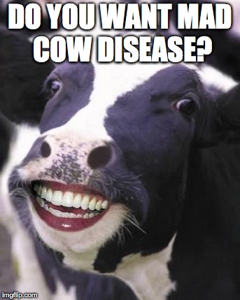 Laughing Cow | DO YOU WANT MAD COW DISEASE? | image tagged in laughing cow | made w/ Imgflip meme maker