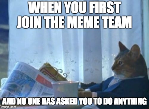 I Should Buy A Boat Cat Meme | WHEN YOU FIRST JOIN THE MEME TEAM; AND NO ONE HAS ASKED YOU TO DO ANYTHING | image tagged in memes,i should buy a boat cat | made w/ Imgflip meme maker