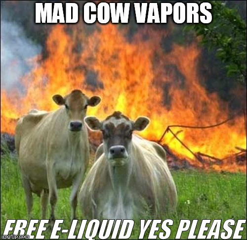 Evil Cows Meme | MAD COW VAPORS; FREE E-LIQUID YES PLEASE | image tagged in memes,evil cows | made w/ Imgflip meme maker