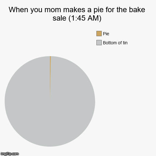 When you mom makes a pie for the bake sale (1:45 AM) | Bottom of tin, Pie | image tagged in funny,pie charts | made w/ Imgflip chart maker