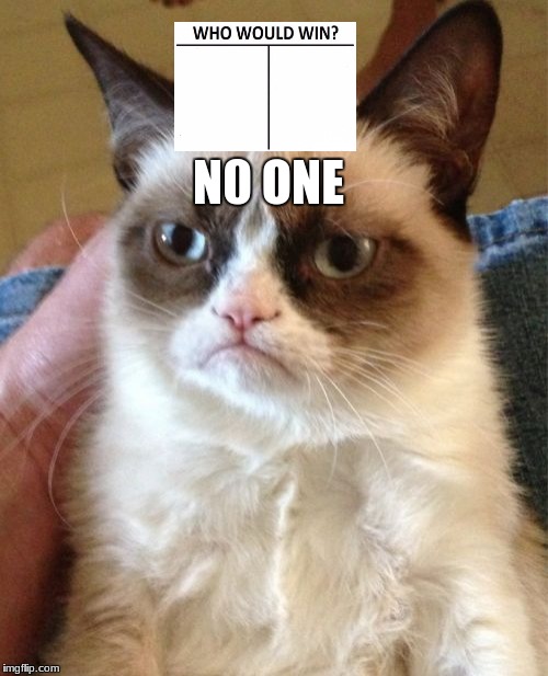 Grumpy Cat Meme | N0 ONE | image tagged in memes,grumpy cat | made w/ Imgflip meme maker