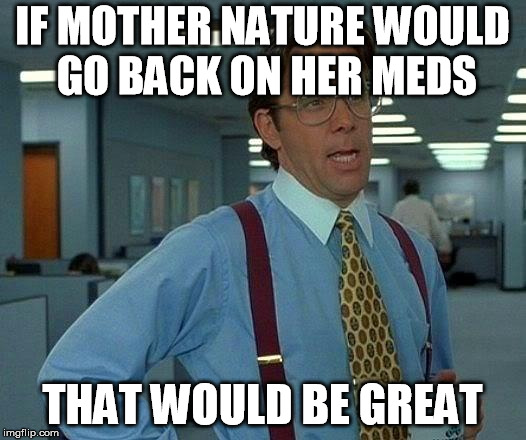 Stop snowing it is spring! | IF MOTHER NATURE WOULD GO BACK ON HER MEDS; THAT WOULD BE GREAT | image tagged in memes,that would be great,spring,stop snowing | made w/ Imgflip meme maker