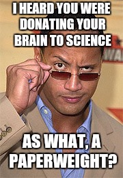 Brains | I HEARD YOU WERE DONATING YOUR BRAIN TO SCIENCE; AS WHAT, A PAPERWEIGHT? | image tagged in raised eyebrow,donating to science,funny rock,paperweight | made w/ Imgflip meme maker