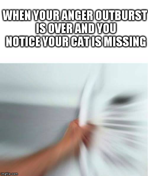 WHEN YOUR ANGER OUTBURST IS OVER AND YOU NOTICE YOUR CAT IS MISSING | image tagged in anger | made w/ Imgflip meme maker