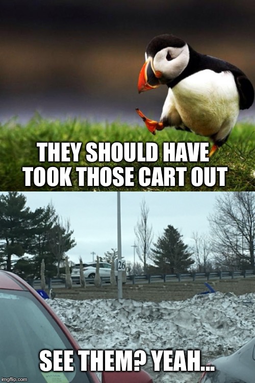 Why not. | THEY SHOULD HAVE TOOK THOSE CART OUT; SEE THEM? YEAH... | image tagged in snow,why,why not,just do it | made w/ Imgflip meme maker