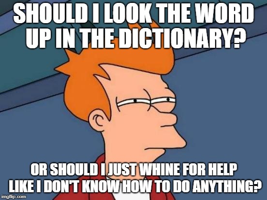 Futurama Fry Meme | SHOULD I LOOK THE WORD UP IN THE DICTIONARY? OR SHOULD I JUST WHINE FOR HELP LIKE I DON'T KNOW HOW TO DO ANYTHING? | image tagged in memes,futurama fry | made w/ Imgflip meme maker
