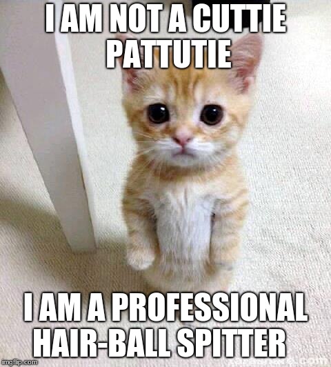 Cute Cat | I AM NOT A CUTTIE PATTUTIE; I AM A PROFESSIONAL HAIR-BALL SPITTER | image tagged in memes,cute cat | made w/ Imgflip meme maker