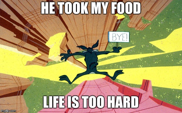Wile E Coyote falling off of cliff | HE TOOK MY FOOD; LIFE IS TOO HARD | image tagged in wile e coyote falling off of cliff | made w/ Imgflip meme maker