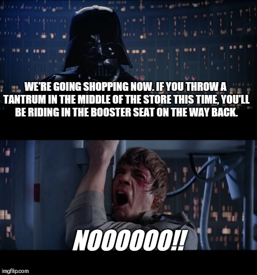 Star Wars No Meme | WE'RE GOING SHOPPING NOW. IF YOU THROW A TANTRUM IN THE MIDDLE OF THE STORE THIS TIME, YOU'LL BE RIDING IN THE BOOSTER SEAT ON THE WAY BACK. NOOOOOO!! | image tagged in memes,star wars no | made w/ Imgflip meme maker