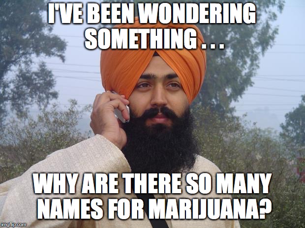Sikh turban guy | I'VE BEEN WONDERING SOMETHING . . . WHY ARE THERE SO MANY NAMES FOR MARIJUANA? | image tagged in sikh turban guy | made w/ Imgflip meme maker