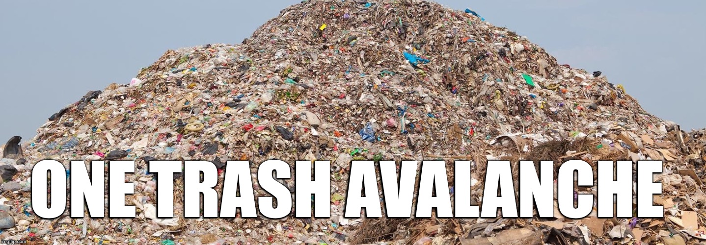 ONE TRASH AVALANCHE | made w/ Imgflip meme maker