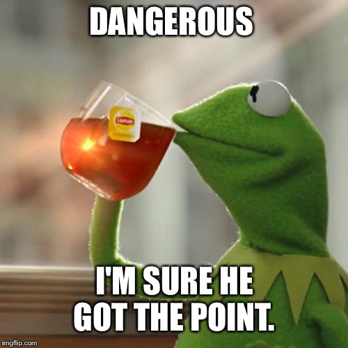 But That's None Of My Business Meme | DANGEROUS I'M SURE HE GOT THE POINT. | image tagged in memes,but thats none of my business,kermit the frog | made w/ Imgflip meme maker