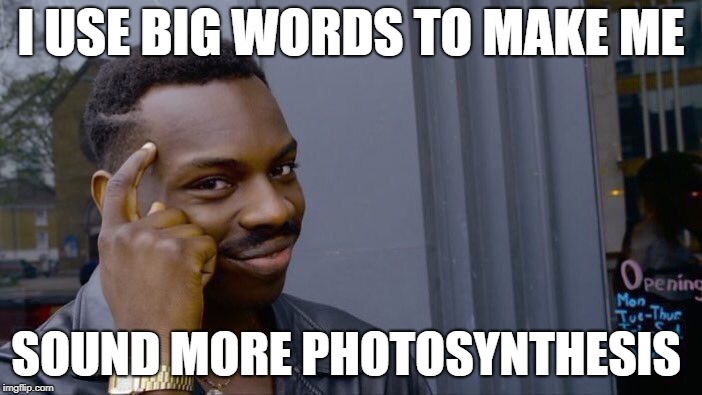 Roll Safe Think About It | I USE BIG WORDS TO MAKE ME; SOUND MORE PHOTOSYNTHESIS | image tagged in memes,roll safe think about it | made w/ Imgflip meme maker