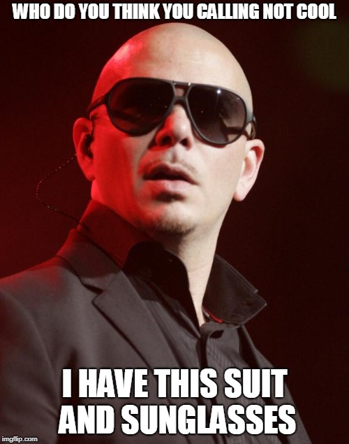 Pitbull | WHO DO YOU THINK YOU CALLING NOT COOL; I HAVE THIS SUIT AND SUNGLASSES | image tagged in pitbull | made w/ Imgflip meme maker
