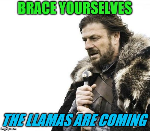 BRACE YOURSELVES THE LLAMAS ARE COMING | made w/ Imgflip meme maker