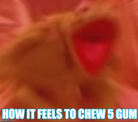 Not Sponsored | HOW IT FEELS TO CHEW 5 GUM | image tagged in kermit the frog | made w/ Imgflip meme maker