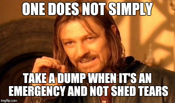 One Does Not Simply | ONE DOES NOT SIMPLY; TAKE A DUMP WHEN IT'S AN EMERGENCY AND NOT SHED TEARS | image tagged in memes,one does not simply | made w/ Imgflip meme maker