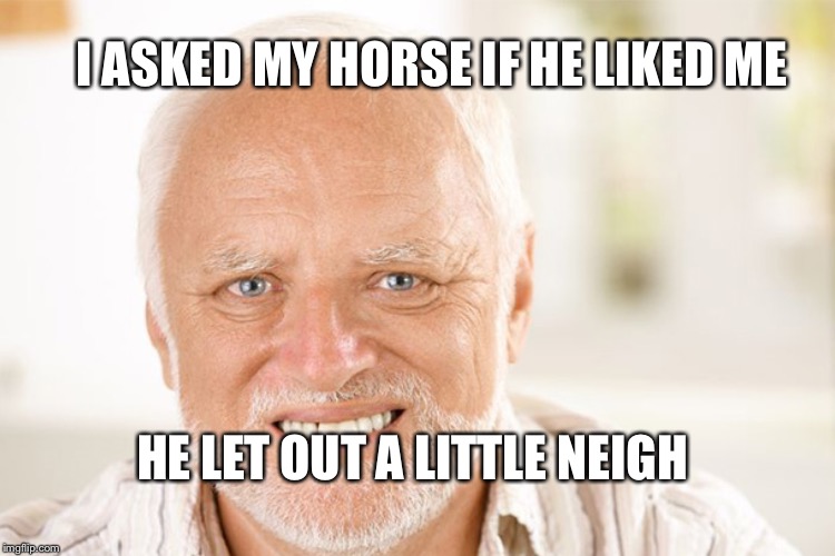 I ASKED MY HORSE IF HE LIKED ME HE LET OUT A LITTLE NEIGH | made w/ Imgflip meme maker