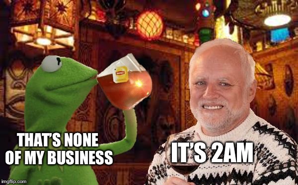 Harold and Kermit at the Oasis Lounge | THAT’S NONE OF MY BUSINESS IT’S 2AM | image tagged in harold and kermit at the oasis lounge | made w/ Imgflip meme maker