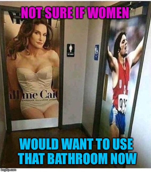 Public  Give it a Rest  Room | NOT SURE IF WOMEN; WOULD WANT TO USE THAT BATHROOM NOW | image tagged in transgender bathroom,bruce jenner,bruce,gender,lol,funny memes | made w/ Imgflip meme maker