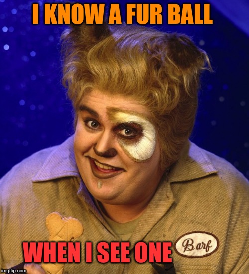 I KNOW A FUR BALL WHEN I SEE ONE | made w/ Imgflip meme maker