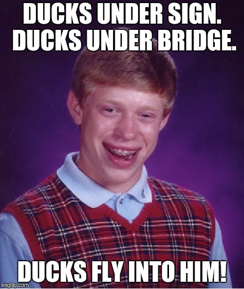 Mr. Funnyman Bad Luck Brian over here! | DUCKS UNDER SIGN. DUCKS UNDER BRIDGE. DUCKS FLY INTO HIM! | image tagged in memes,bad luck brian,ducks,sign,bridge | made w/ Imgflip meme maker