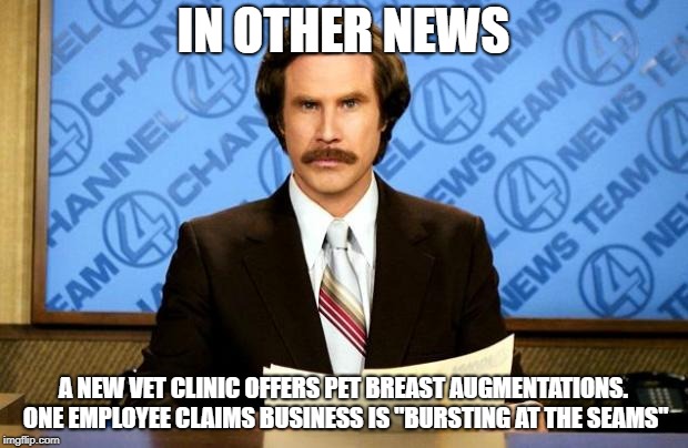 BREAKING NEWS | IN OTHER NEWS; A NEW VET CLINIC OFFERS PET BREAST AUGMENTATIONS. ONE EMPLOYEE CLAIMS BUSINESS IS "BURSTING AT THE SEAMS" | image tagged in breaking news | made w/ Imgflip meme maker
