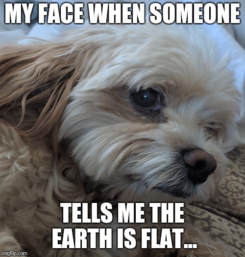 MY FACE WHEN SOMEONE; TELLS ME THE EARTH IS FLAT... | image tagged in flat earthers | made w/ Imgflip meme maker