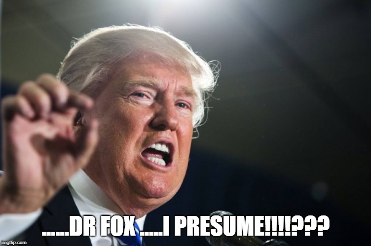 donald trump | ......DR FOX .....I PRESUME!!!!??? | image tagged in donald trump | made w/ Imgflip meme maker