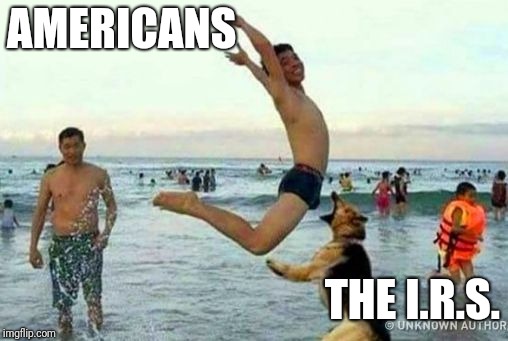 AMERICANS; THE I.R.S. | image tagged in crotch hound | made w/ Imgflip meme maker